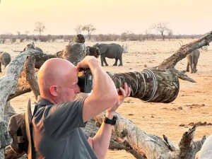 Nick Wigmore, Wildlife photographer on African photo safari taking pictures of elephants in the savanna.