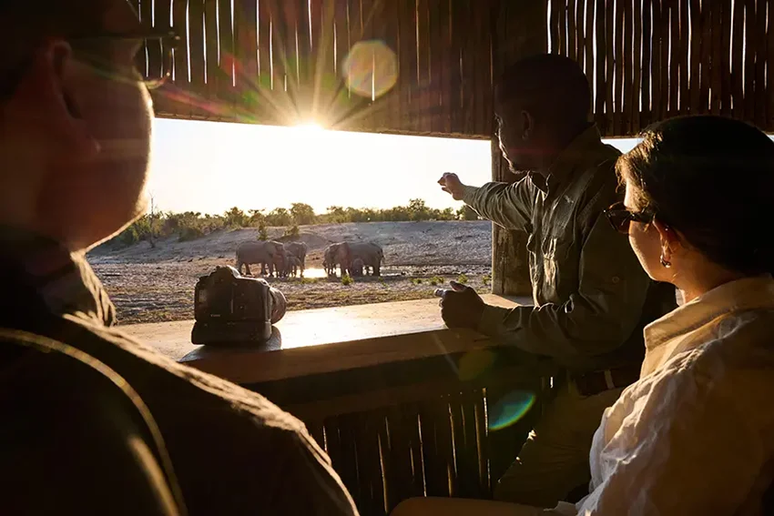 African photo safari: Tourists view elephants from a lodge, guide pointing.