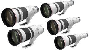 Multiple Canon telephoto lenses, ideal for African safari photo adventures.