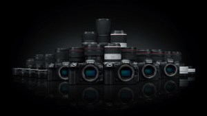 Canon R6ii, R8, and R10 cameras with lenses, perfect for an African photo safari.