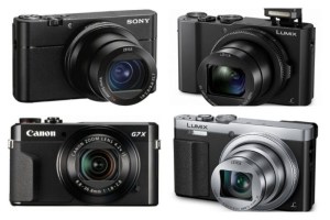 Comparison of Canon, Sony, and Lumix cameras for safari filmmaking and photo safari.