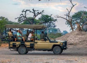 African photo safari: Tourists in open vehicle observe a cheetah atop a termite mound, wildlife safari adventure.