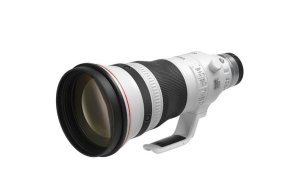 Canon RF 400mm f2.8 L IS USM lens, ideal for African safari wildlife photography.