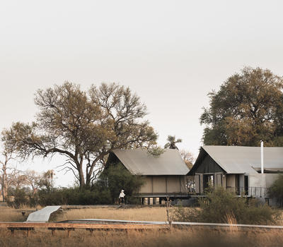 Camp Hwange safari tents in Zimbabwe, Africa. African photo safari.