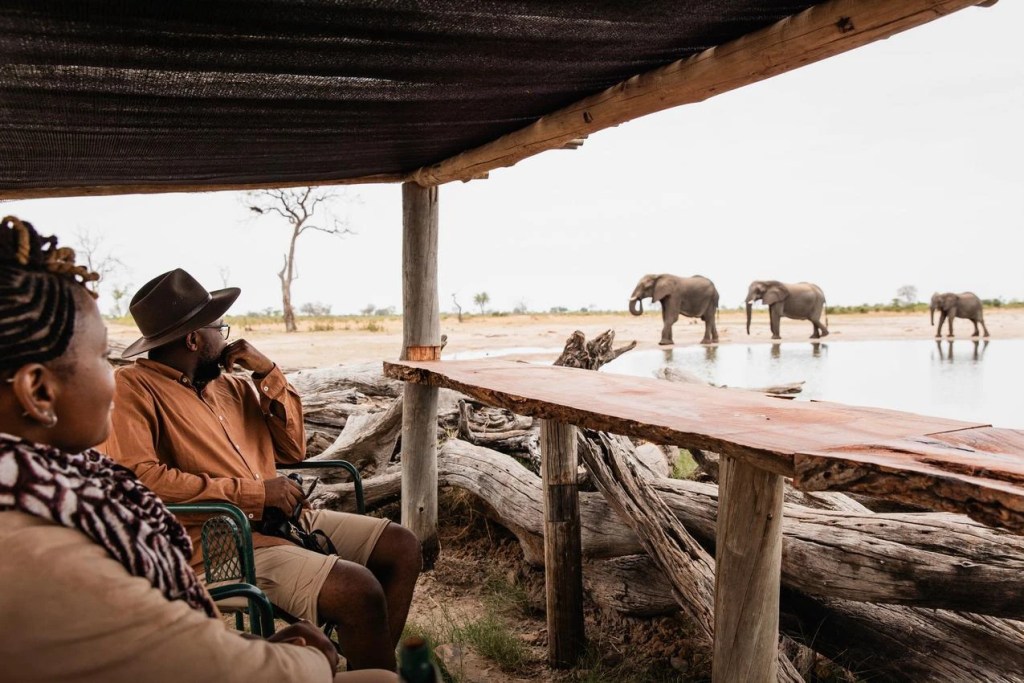 African photo safari: Tourists watch elephants at a watering hole from a shaded viewing area.