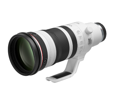 Canon RF 600mm f/4 L IS USM lens, essential photo safari gear for African wildlife photography