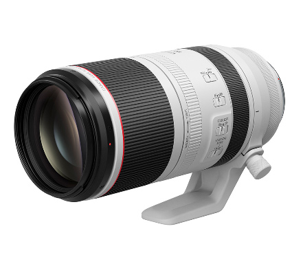 Canon RF 100-500mm L IS USM lens, essential photo safari gear for African safaris.