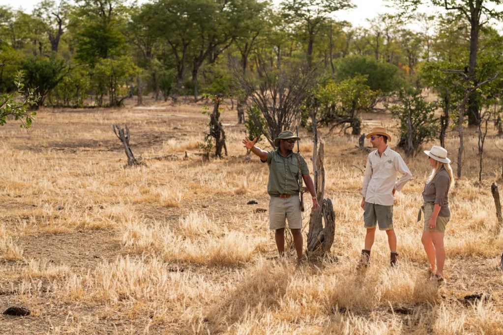 African photo safari guide pointing out wildlife to tourists in a dry, grassy landscape.