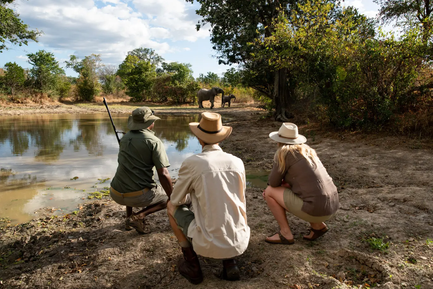 African photo safari: Tourists watch elephants at a watering hole.