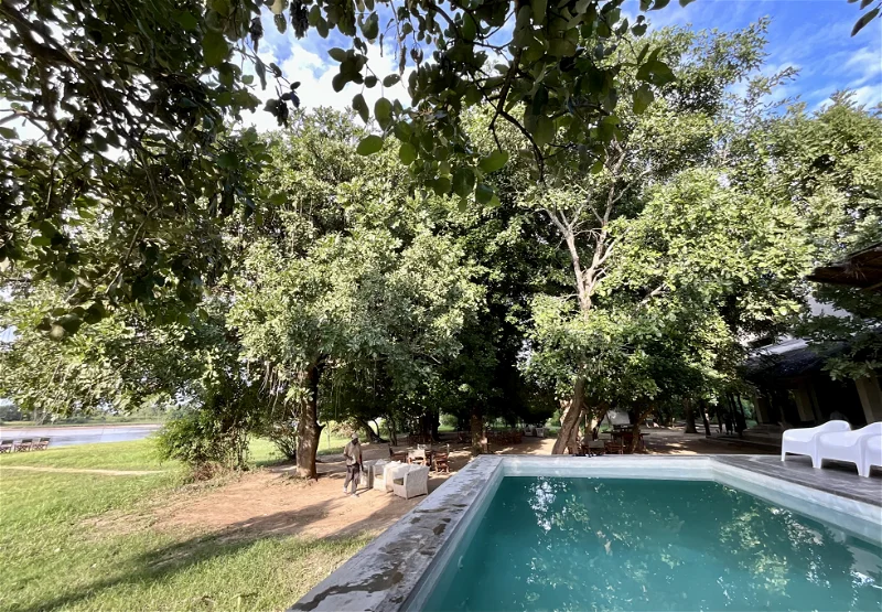 South Luangwa photo safari: Poolside view with lush trees. African safari lodge.
