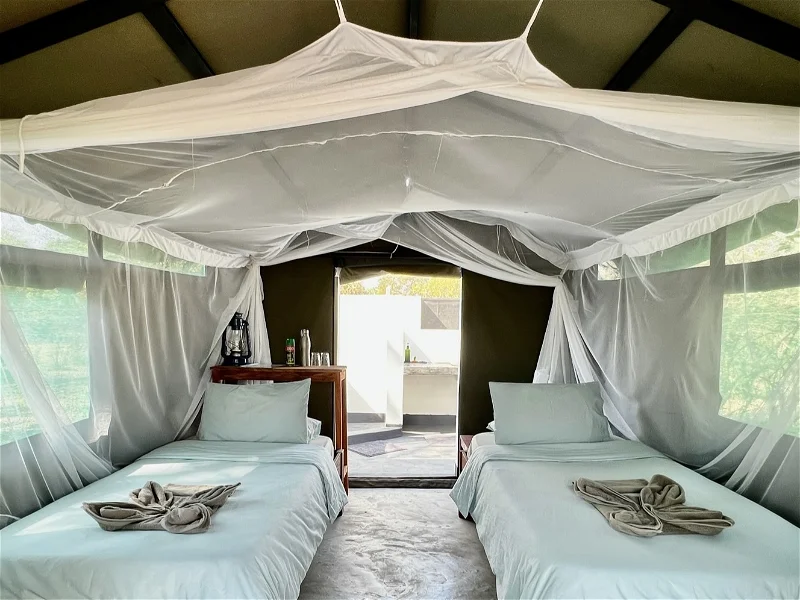 Safari tent interior at South Luangwa. Twin beds with mosquito nets ready for an African photo safari.