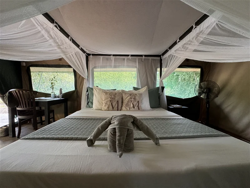 Safari tent interior with bed, elephant towel art, South Luangwa PS. African photo safari experience.