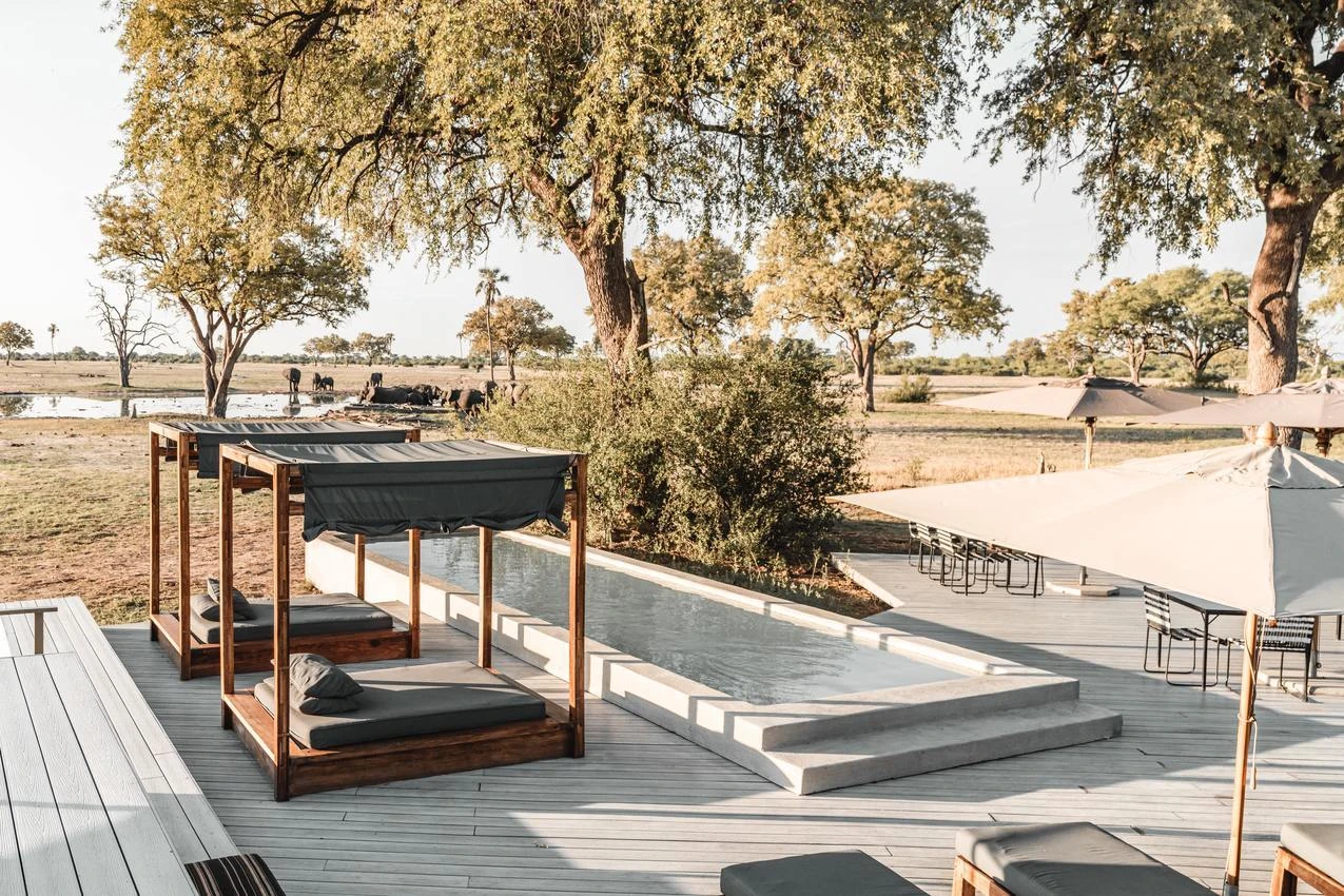 Luxury African photo safari lodge with pool, lounge chairs, and elephants in the background.