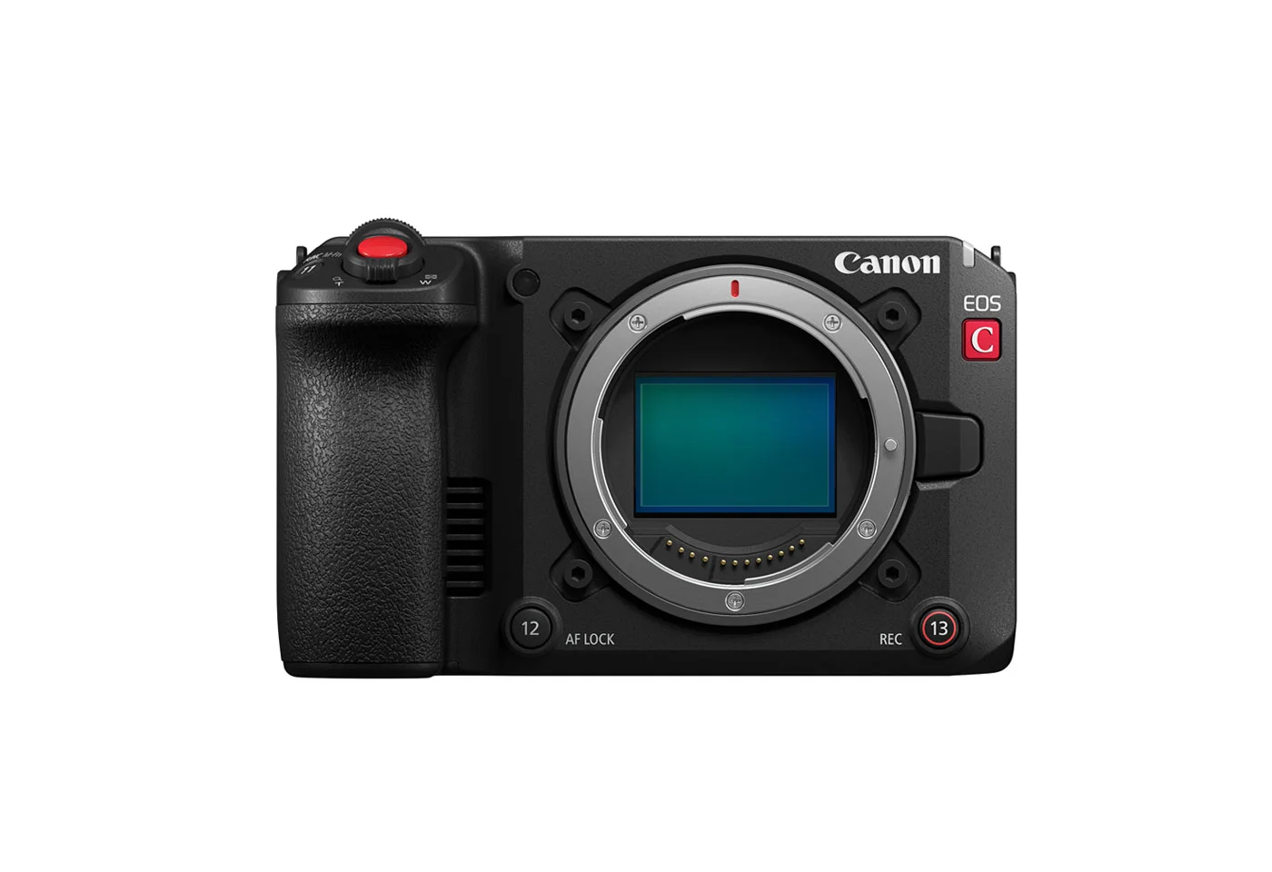 Canon EOS C camera, essential photo safari gear for African adventures.