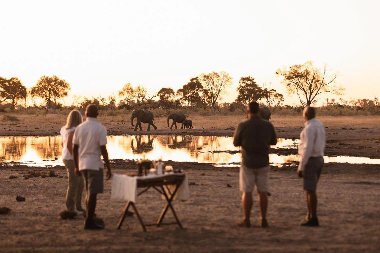 African safari: People watching elephants at a watering hole during a photo safari.