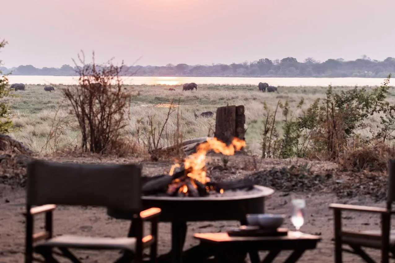 African photo safari: Elephants graze near a campfire at dusk.
