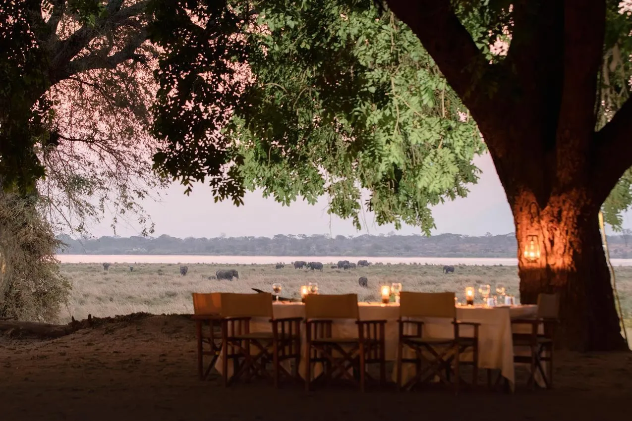 Safari dinner under trees, elephants grazing in background. African photo safari experience.
