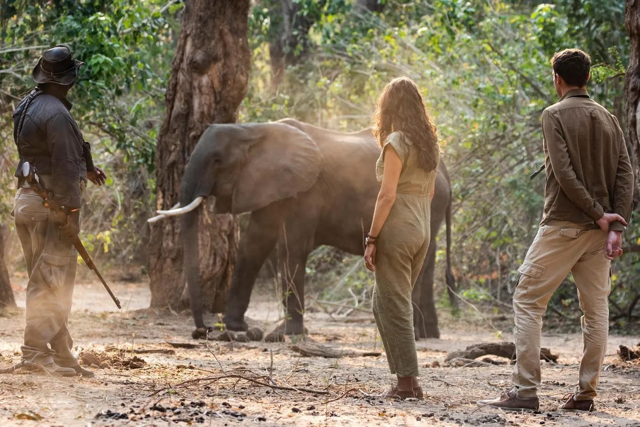 African photo safari: Tourists and armed guide observe an elephant in its natural habitat.