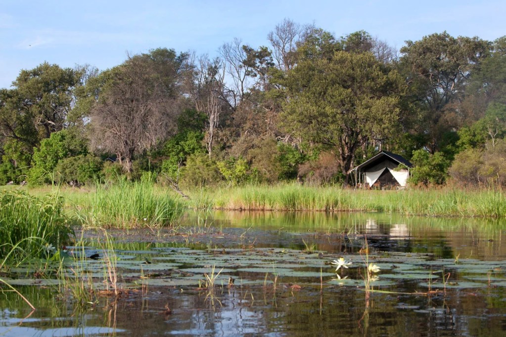 African photo safari tent camp on the Okavango Delta, Botswana. Lush landscape and tranquil water.