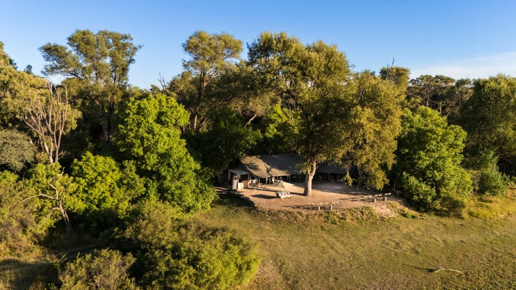 African photo safari camp nestled among trees in Botswana.