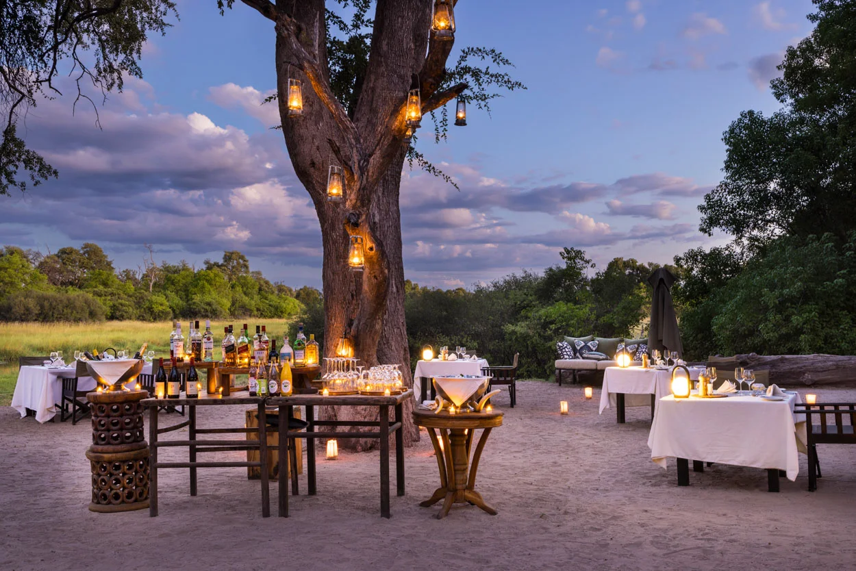 African safari dinner under lantern-lit tree. Tables set for photo safari guests in Botswana.