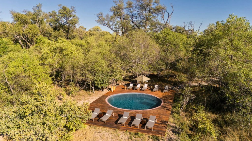 Luxury safari lodge pool surrounded by lush trees, perfect for an African photo safari.