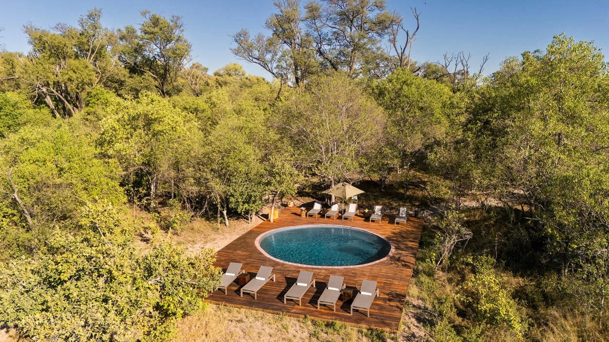 Luxury safari lodge pool surrounded by lush trees, perfect for an African photo safari.