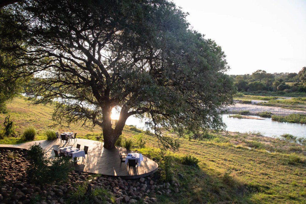 African safari dining deck under a large tree overlooking a river, perfect for a photo safari.