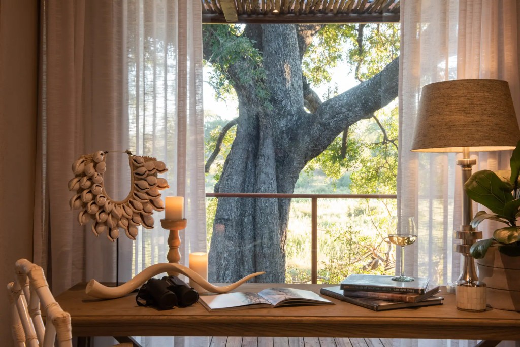 African safari lodge desk with binoculars, book, and view of tree