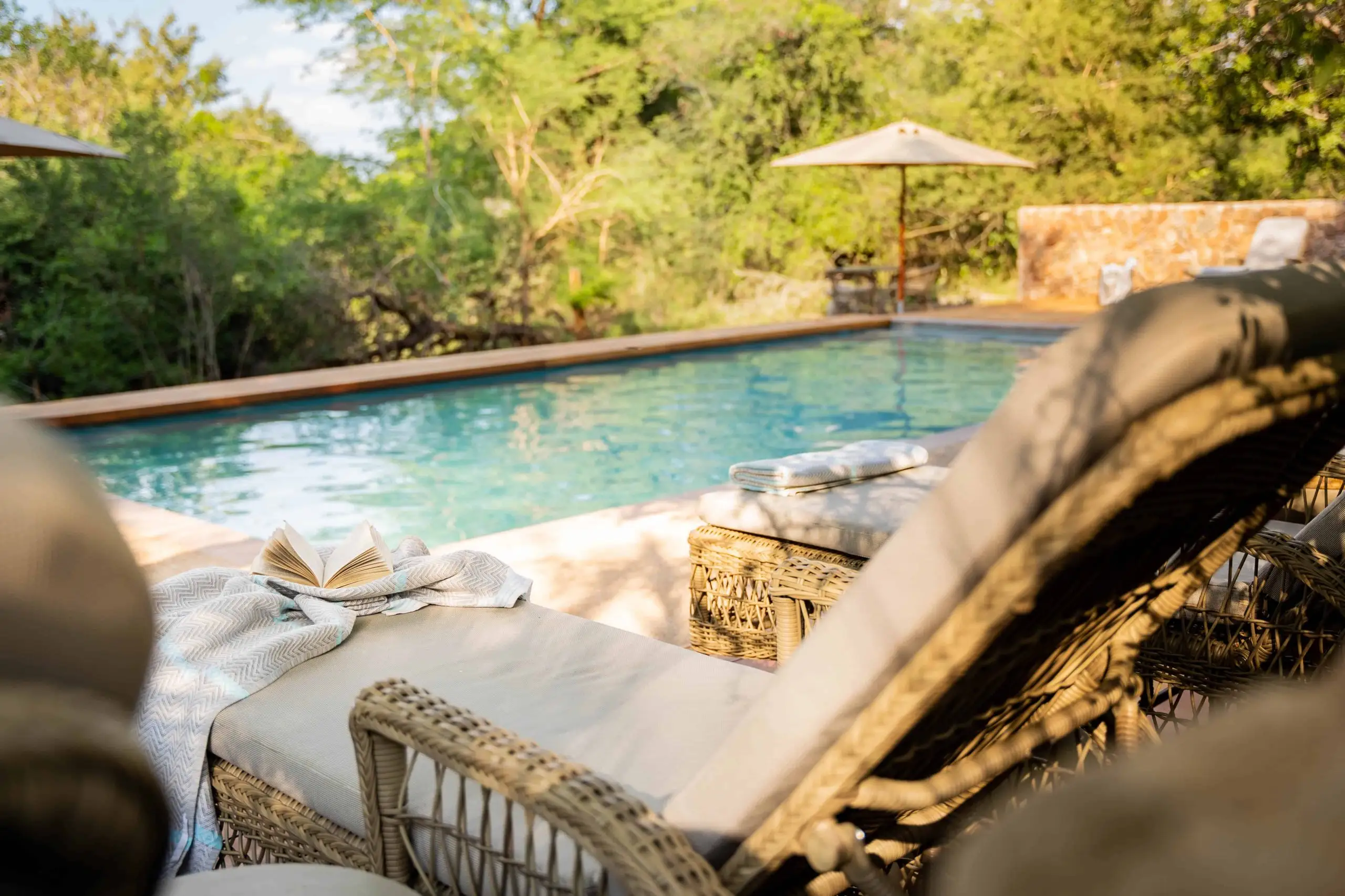 Luxury safari lodge pool with lounge chair and book, African photo safari