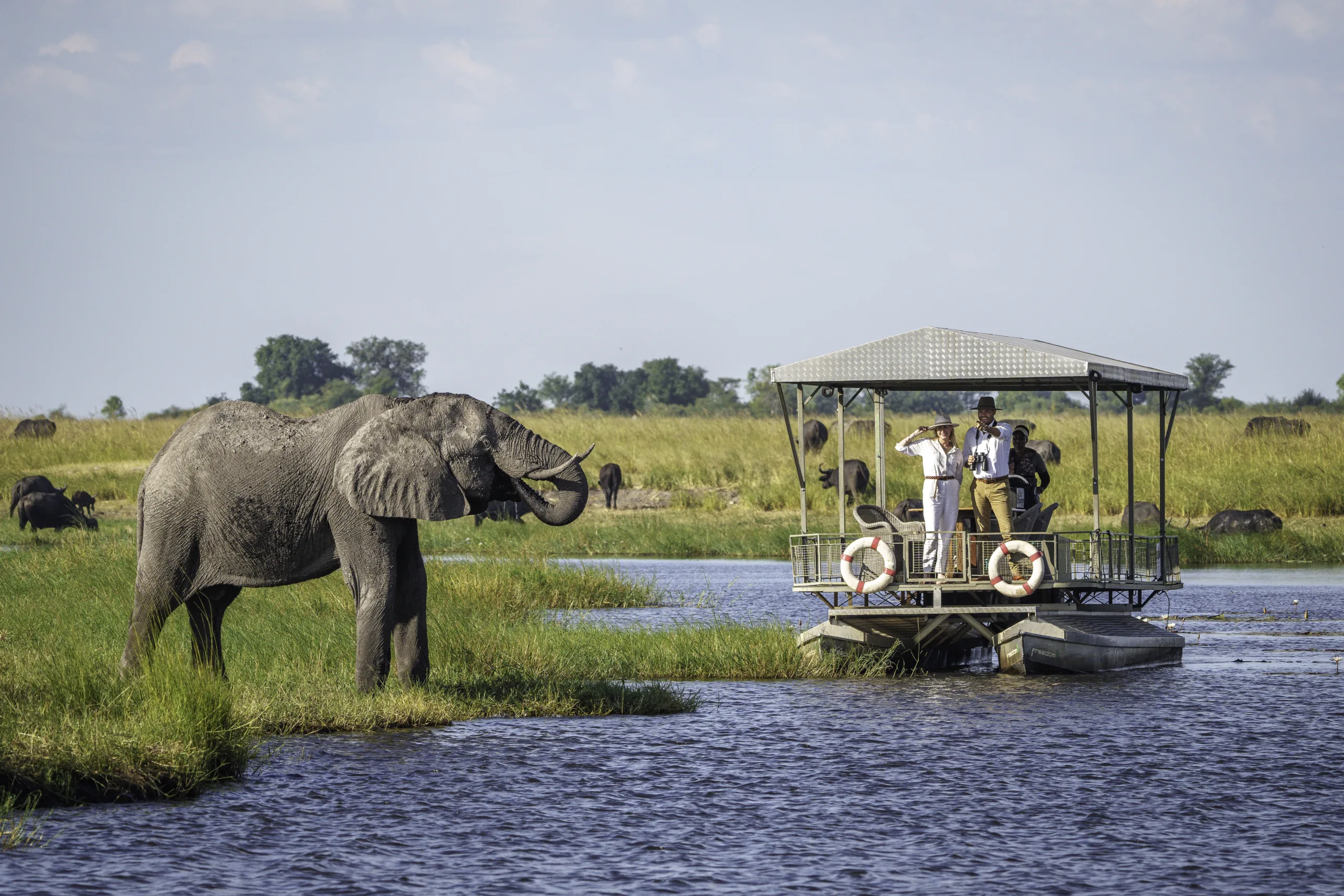 African safari photo safari: Elephant near boat with tourists in Chobe National Park, Botswana.