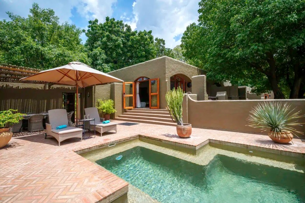 African safari lodge pool area with lounge chairs and desert plants