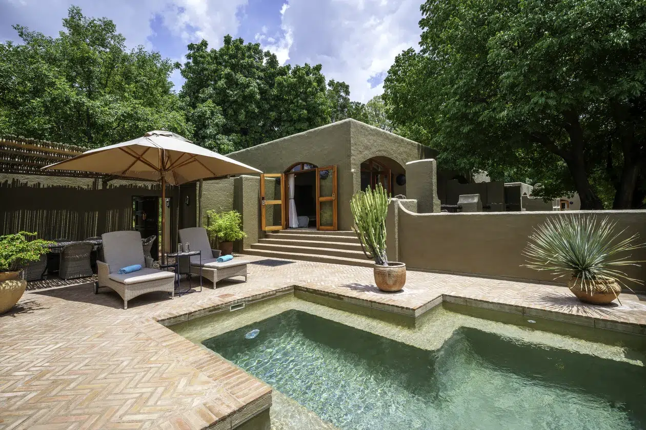African safari lodge pool area with lounge chairs and desert plants
