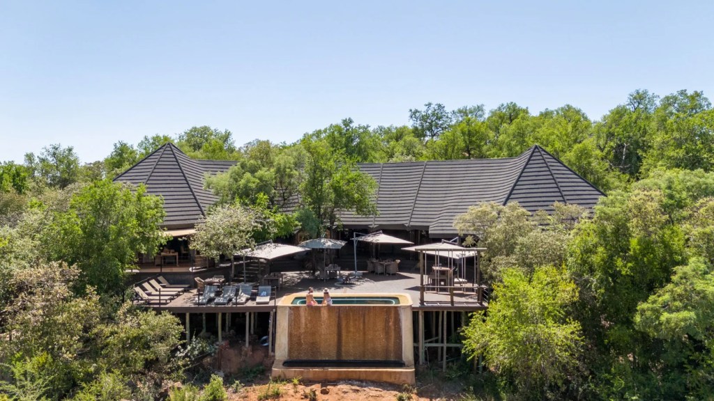 Luxury safari lodge with infinity pool, surrounded by lush African bushveld.