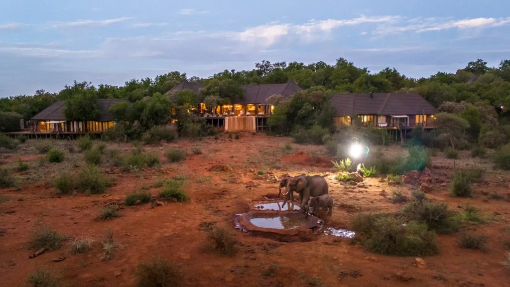 African safari lodge at dusk with elephants drinking at a waterhole
