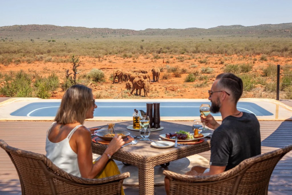 Couple dining at Madikwe safari lodge with elephants in background