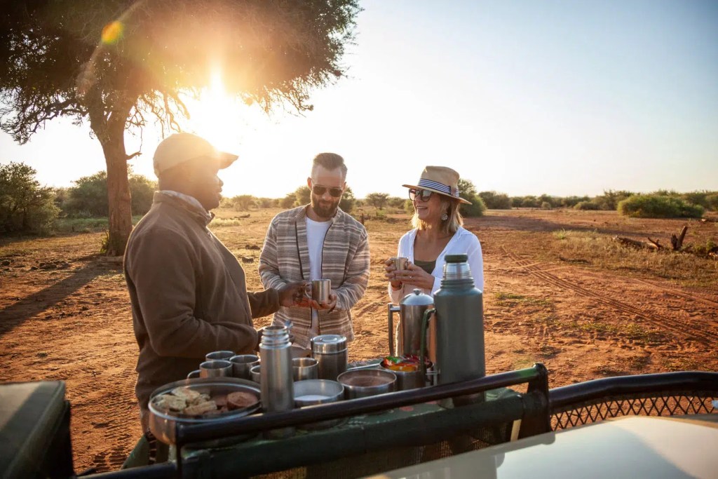 African safari morning coffee break with guide and guests in Madikwe