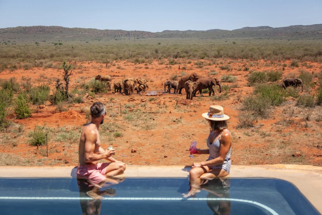 Couple enjoys African safari from pool; elephants roam Madikwe landscape.