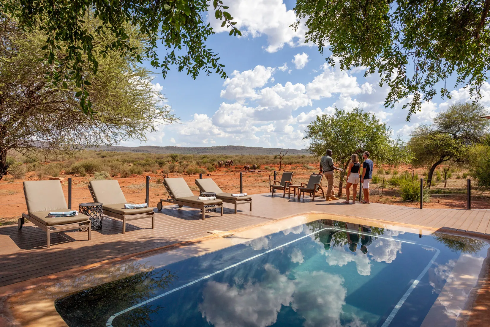 Luxury African safari lodge pool with guests overlooking Madikwe Game Reserve