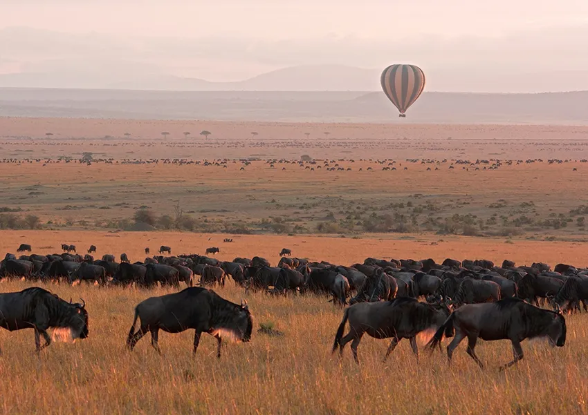 African photo safari destinations across Southern and East Africa