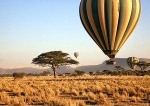 Hot air balloons over the Serengeti during a Great Migration photo safari