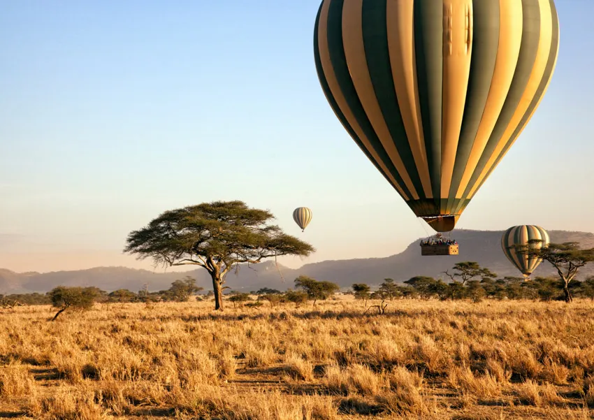 Hot air balloons over the Serengeti during a Great Migration photo safari